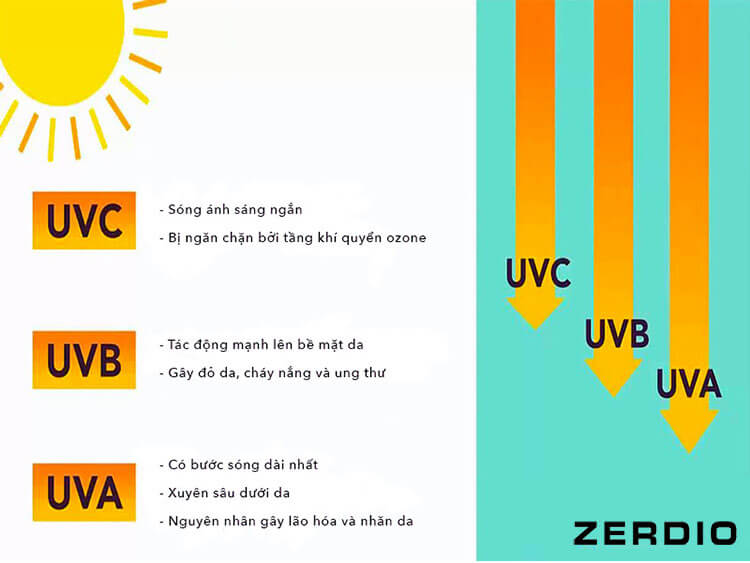 Tia UV B là gì