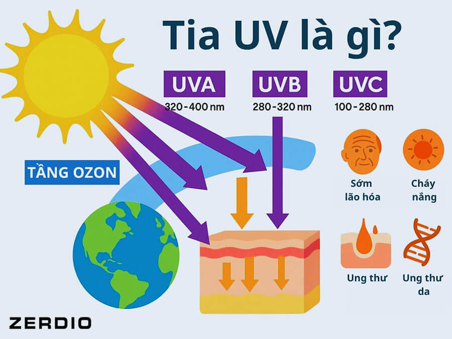 Tia UVA là gì