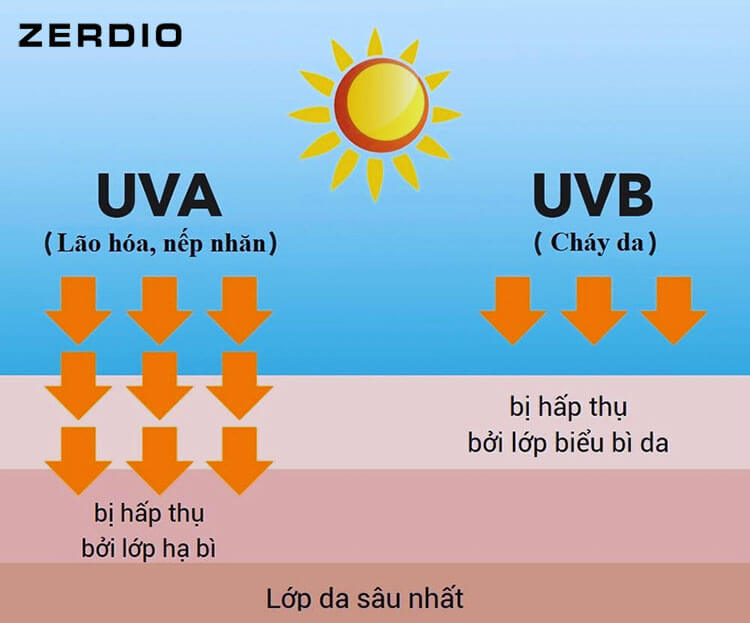 Tia UVB là gì
